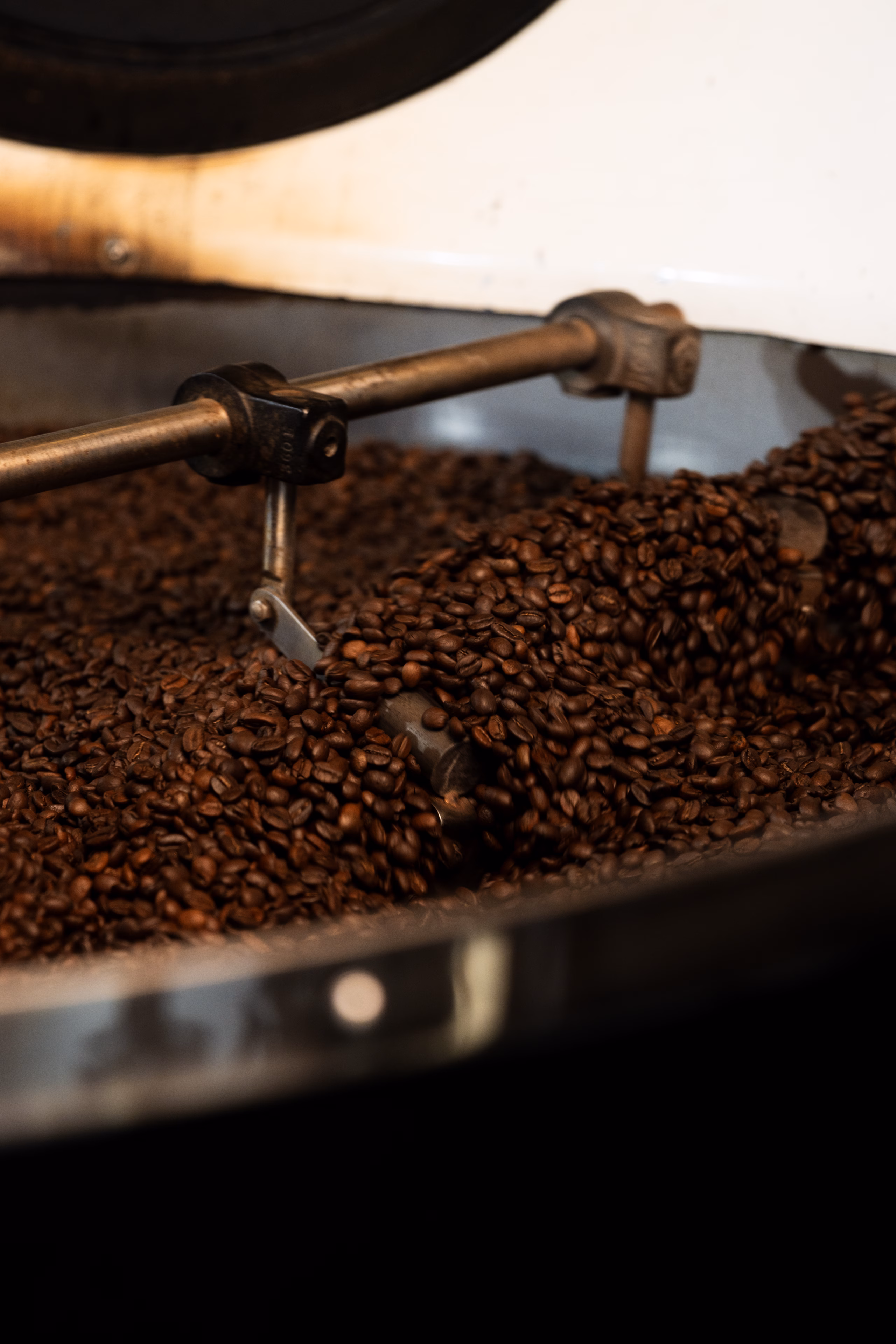Grains de café torréfiés brassés dans le bac de refroidissement du torréfacteur